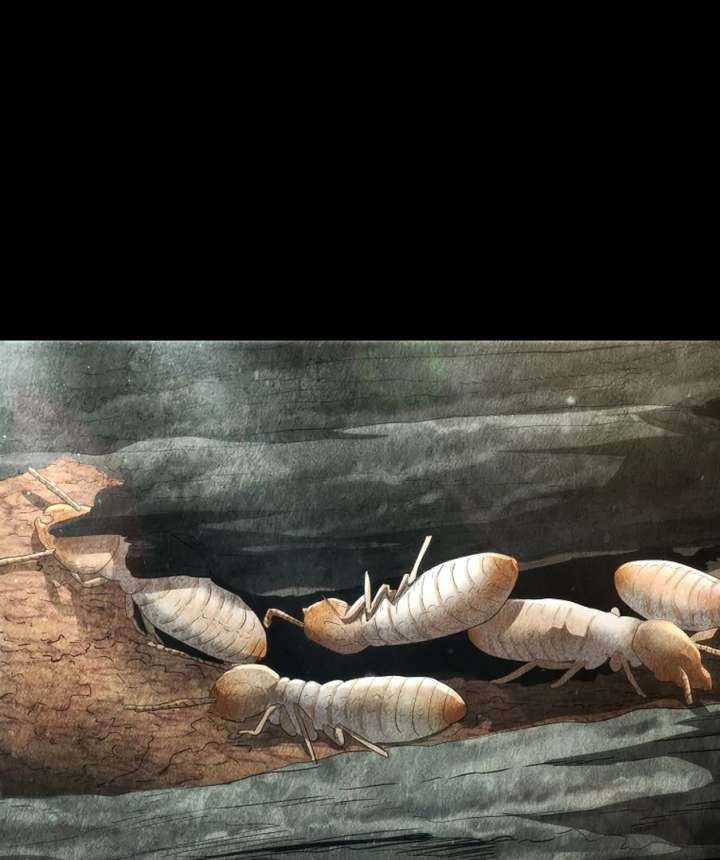 Empire of the Ants Chapter 12 - Page 1