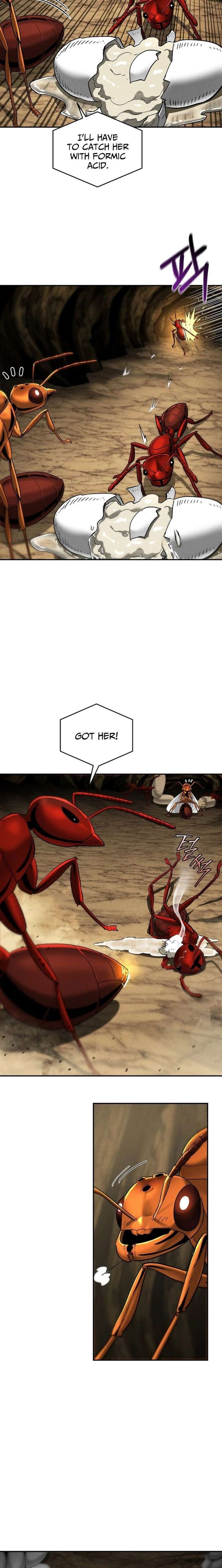 Empire of the Ants Chapter 18 - Page 5