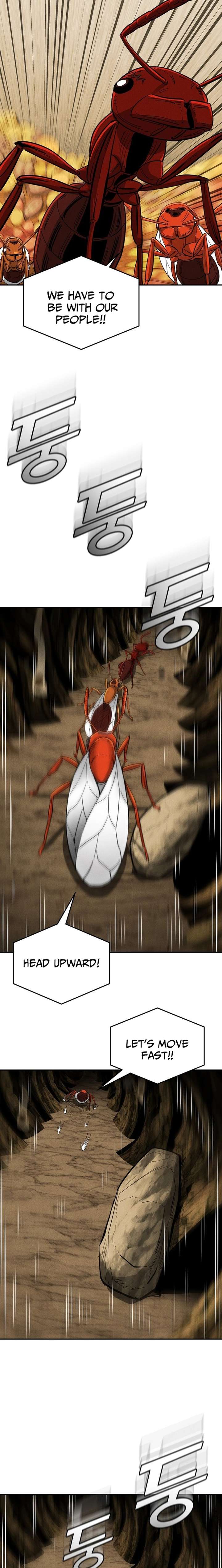 Empire of the Ants Chapter 25 - Page 23