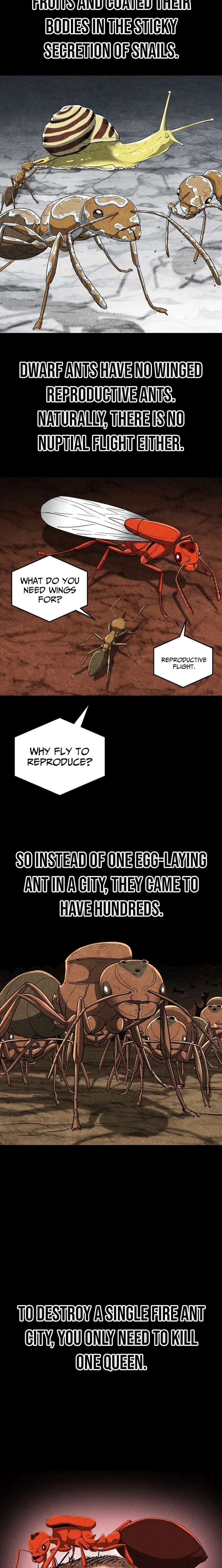 Empire of the Ants Chapter 27 - Page 23