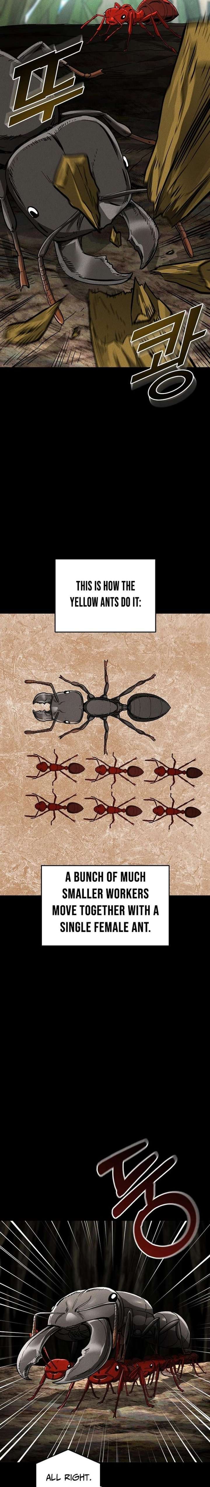 Empire of the Ants Chapter 28 - Page 18