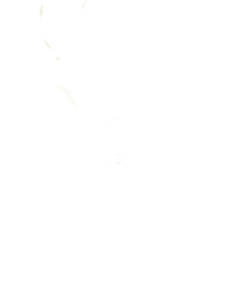 S-Class Spirit Master’s Taming Diary Chapter 48 - Page 25