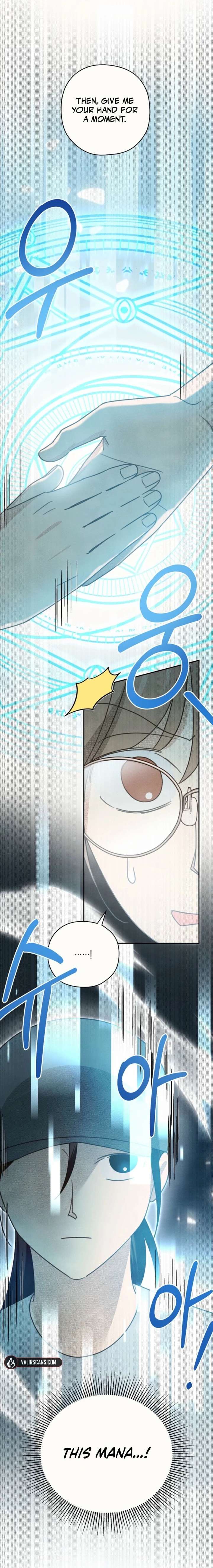 S-Class Spirit Master’s Taming Diary Chapter 62 - Page 9