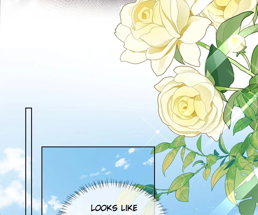 Transmigrating as the Younger Sister of a Bigshot with Multiple Identities Chapter 25 - Page 71