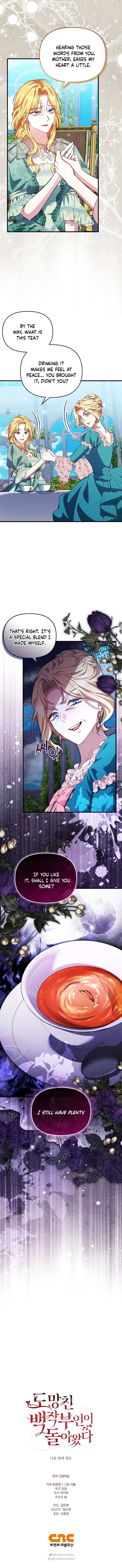 The Runaway Countess Has Returned Chapter 19 - Page 9