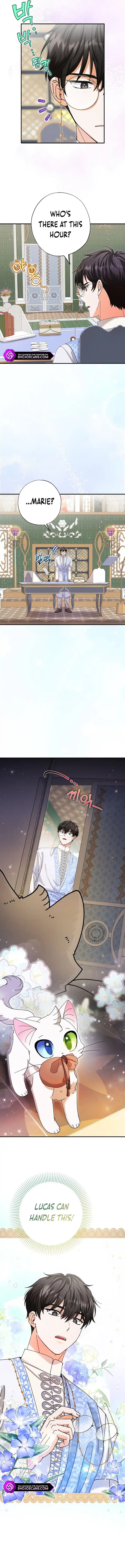 I Became the Emperor’s Cat Chapter 11 - Page 7