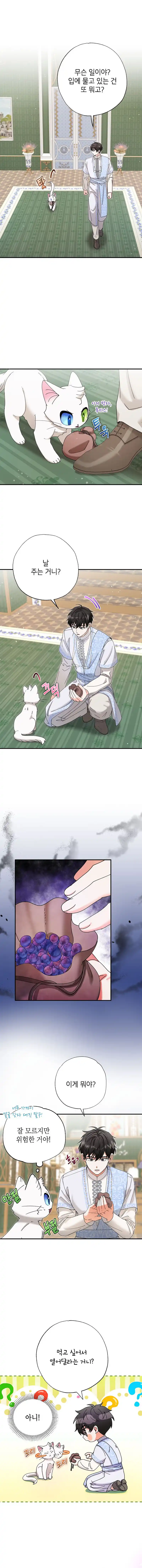 I Became the Emperor’s Cat Chapter 11 - Page 8