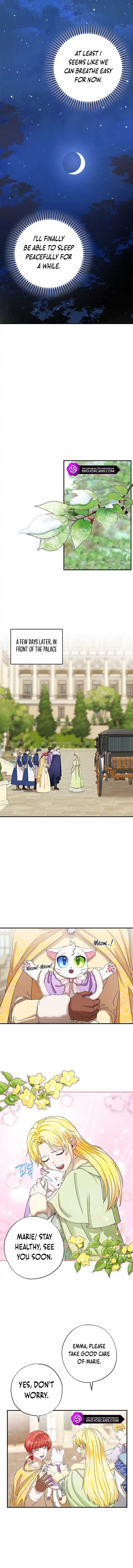 I Became the Emperor’s Cat Chapter 12 - Page 8