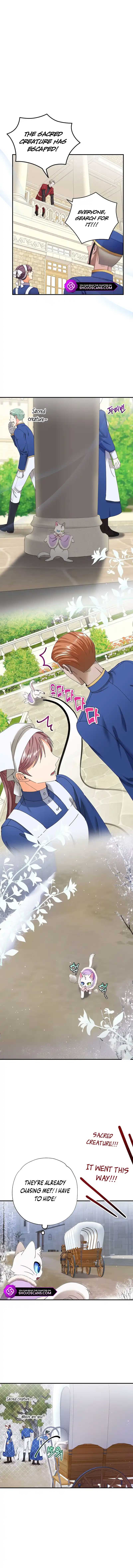 I Became the Emperor’s Cat Chapter 14 - Page 11