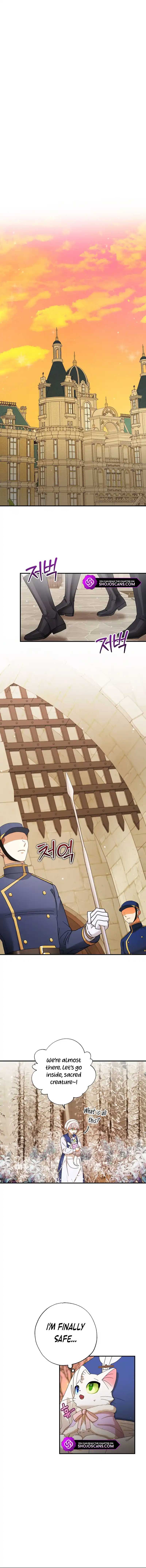 I Became the Emperor’s Cat Chapter 15 - Page 11