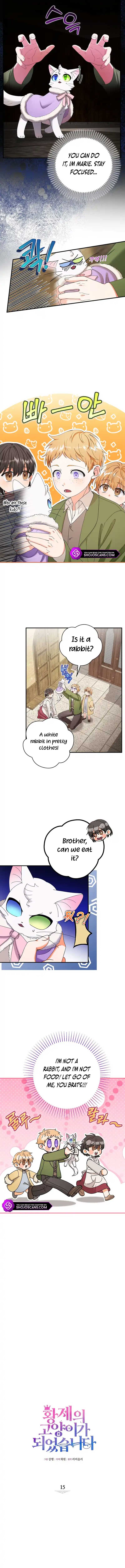 I Became the Emperor’s Cat Chapter 15 - Page 3