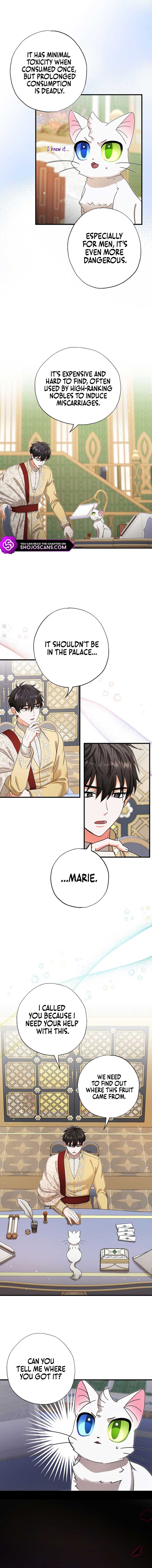 I Became the Emperor’s Cat Chapter 17 - Page 7