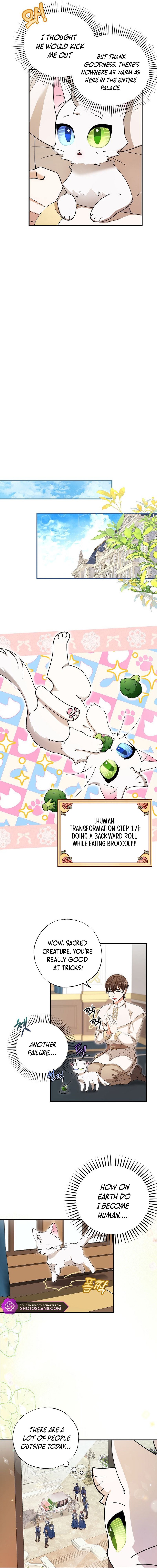 I Became the Emperor’s Cat Chapter 2 - Page 12