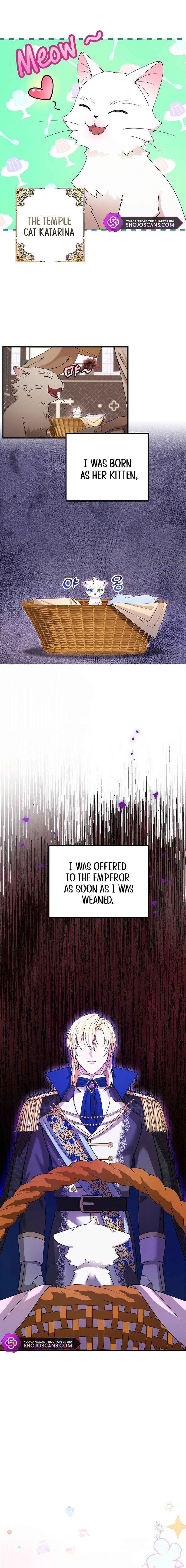 I Became the Emperor’s Cat Chapter 2 - Page 4