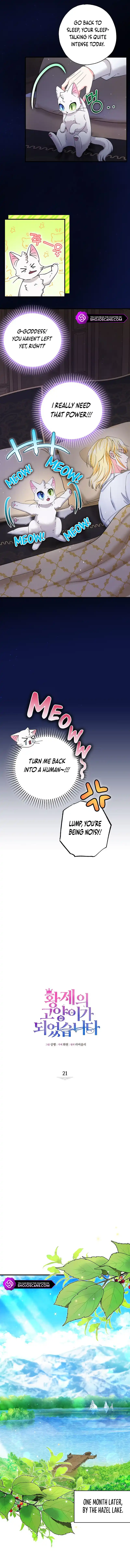 I Became the Emperor’s Cat Chapter 21 - Page 2