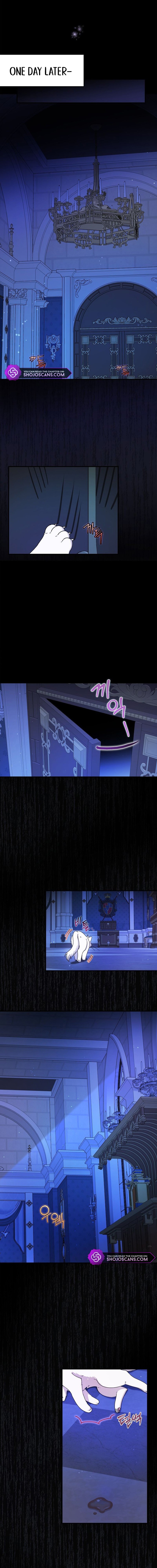 I Became the Emperor’s Cat Chapter 3 - Page 13