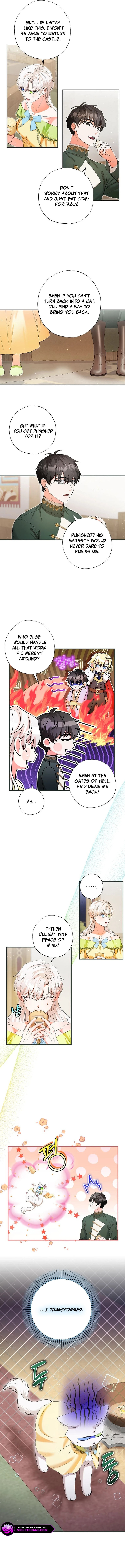 I Became the Emperor’s Cat Chapter 31 - Page 7