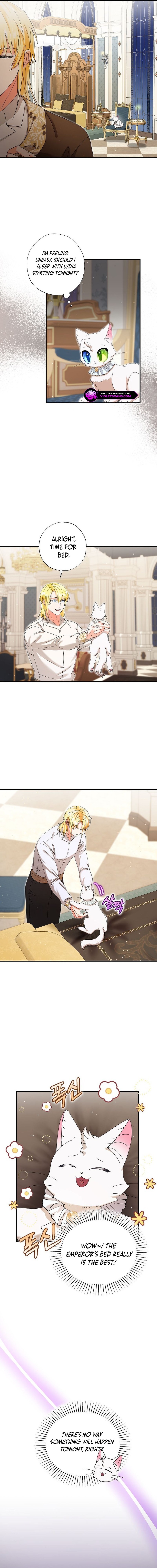 I Became the Emperor’s Cat Chapter 33 - Page 9