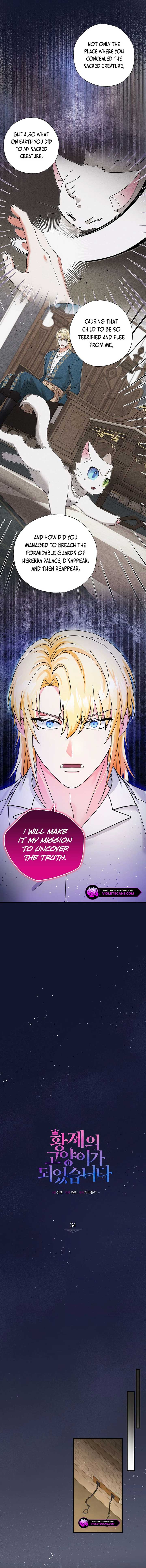 I Became the Emperor’s Cat Chapter 34 - Page 2