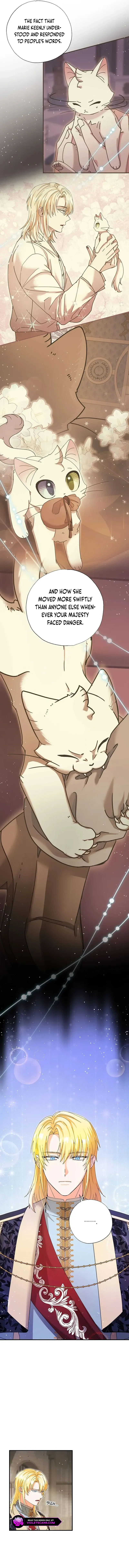 I Became the Emperor’s Cat Chapter 35 - Page 8