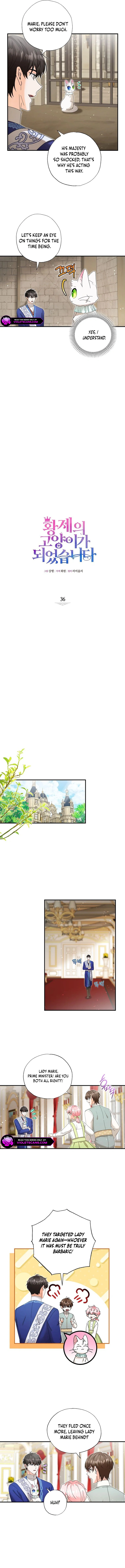 I Became the Emperor’s Cat Chapter 36 - Page 2