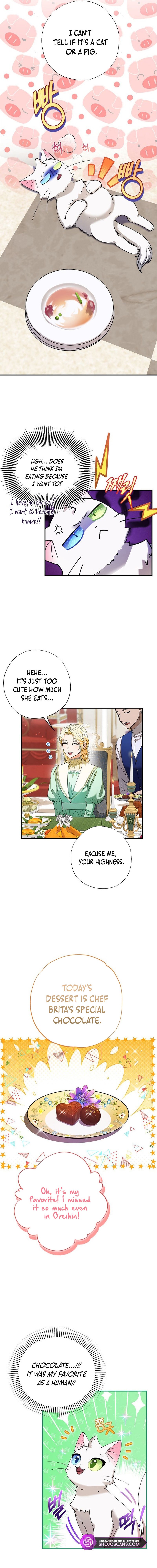 I Became the Emperor’s Cat Chapter 4 - Page 5