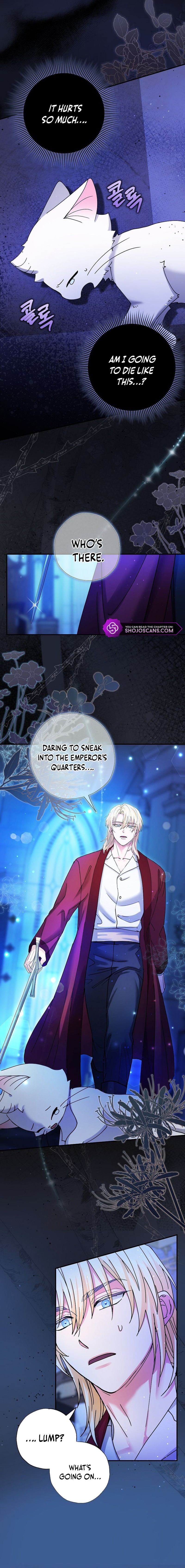 I Became the Emperor’s Cat Chapter 4 - Page 8