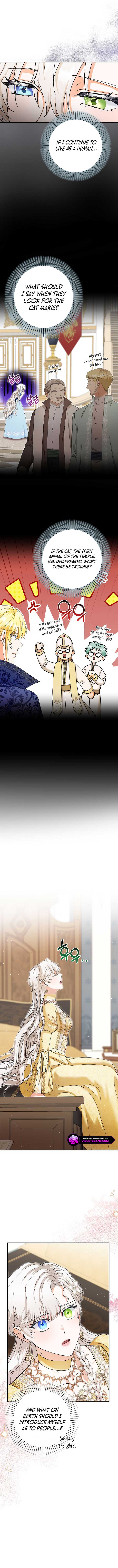 I Became the Emperor’s Cat Chapter 42 - Page 9