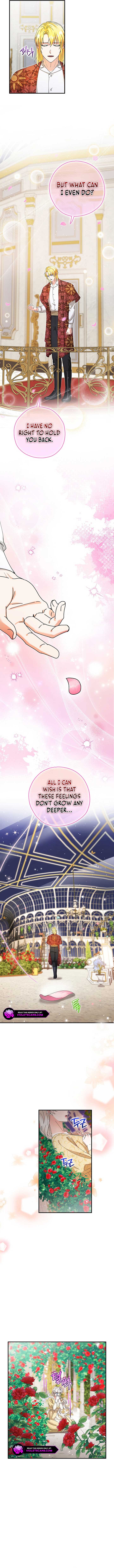 I Became the Emperor’s Cat Chapter 49 - Page 2