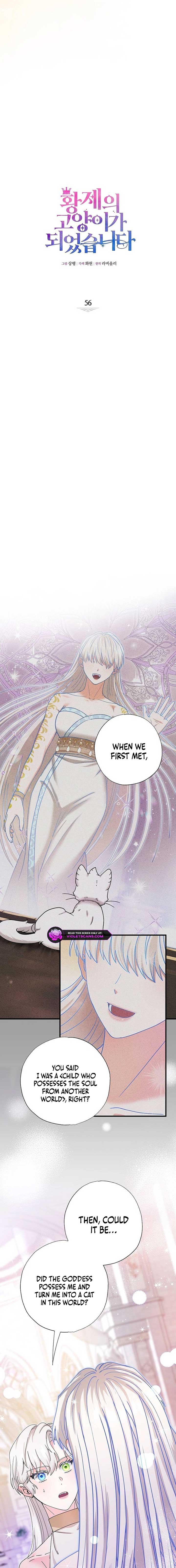 I Became the Emperor’s Cat Chapter 56 - Page 2