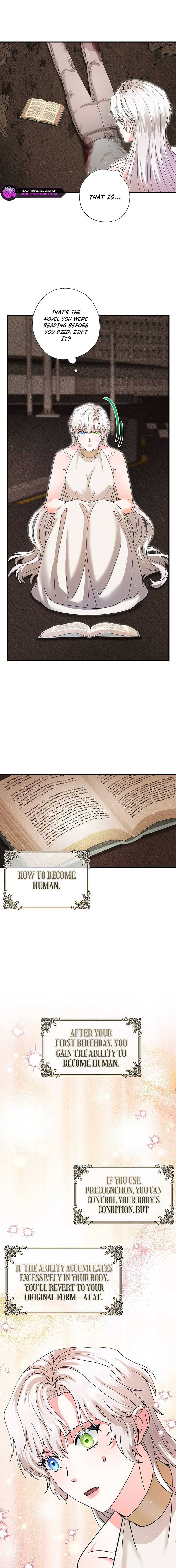 I Became the Emperor’s Cat Chapter 56 - Page 5