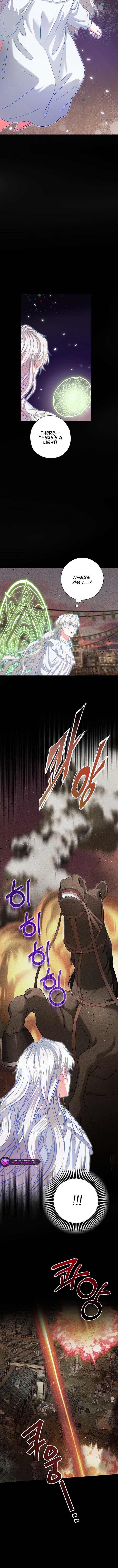 I Became the Emperor’s Cat Chapter 63 - Page 4