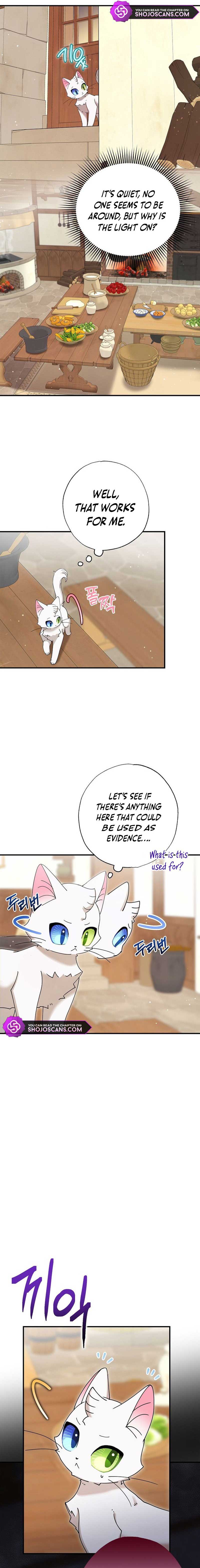 I Became the Emperor’s Cat Chapter 8 - Page 16