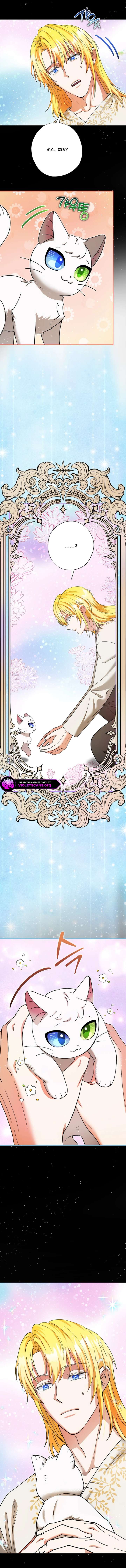 I Became the Emperor’s Cat Chapter 82 - Page 2