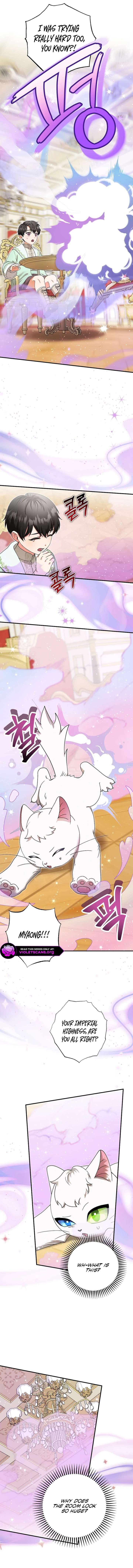 I Became the Emperor’s Cat Chapter 84 - Page 5