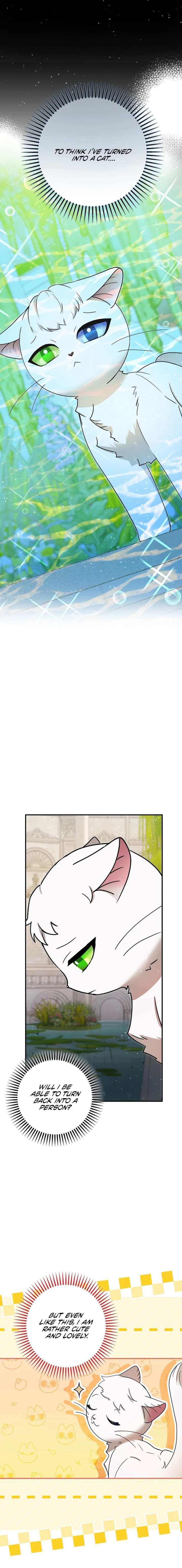 I Became the Emperor’s Cat Chapter 84 - Page 7