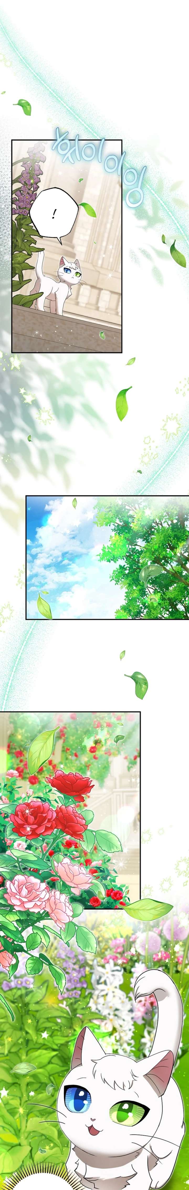 I Became the Emperor’s Cat Chapter 84 - Page 8