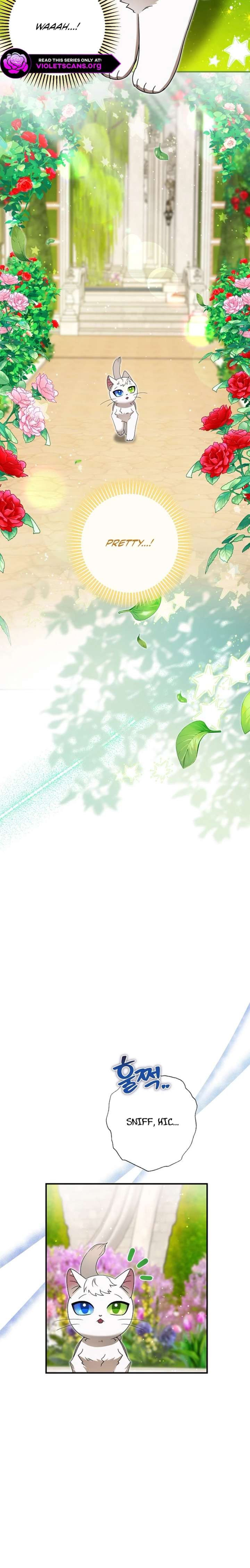 I Became the Emperor’s Cat Chapter 84 - Page 9