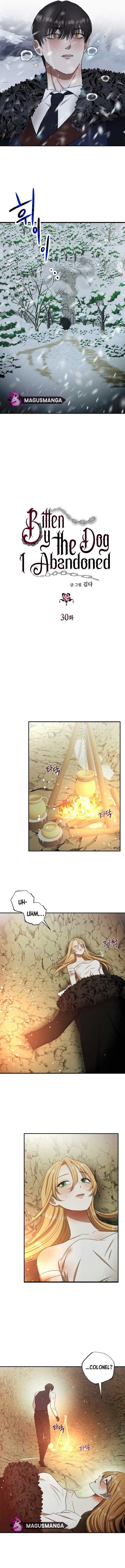 Bitten by the Dog I Abandoned Chapter 30 - Page 3