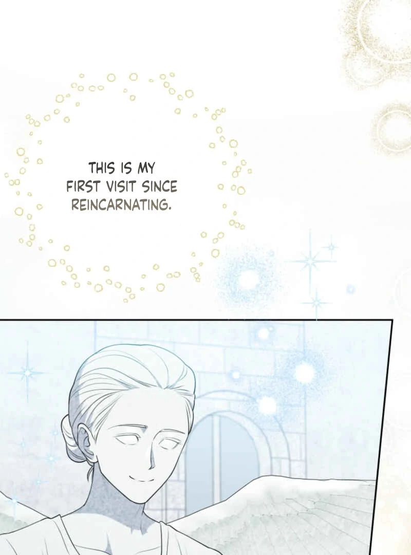 This Reincarnation Requires a Subscription Fee Chapter 10 - Page 28