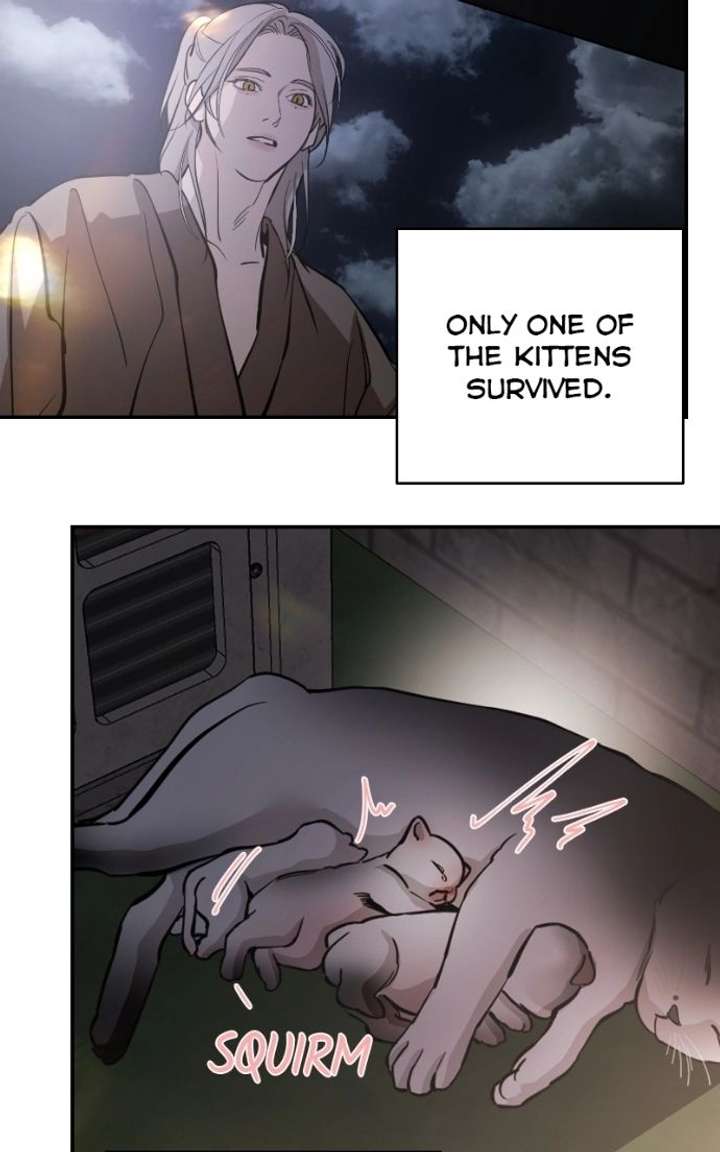 Extroversion of an Immortal Chapter 143 - Page 95