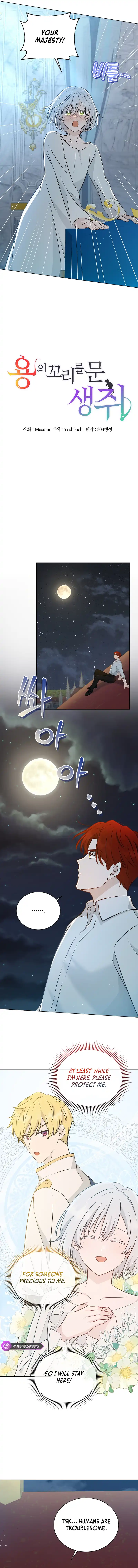 A Mouse Biting a Dragon’s Tail Chapter 8 - Page 2