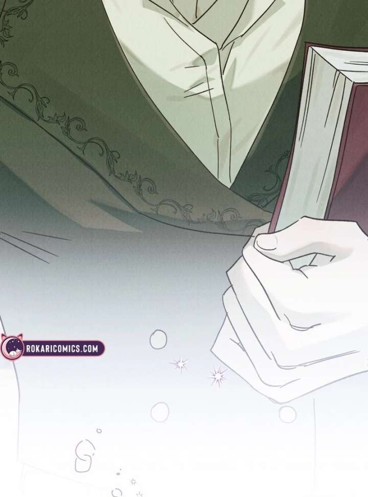 The Butterfly That Swallowed the Mist Chapter 12 - Page 30