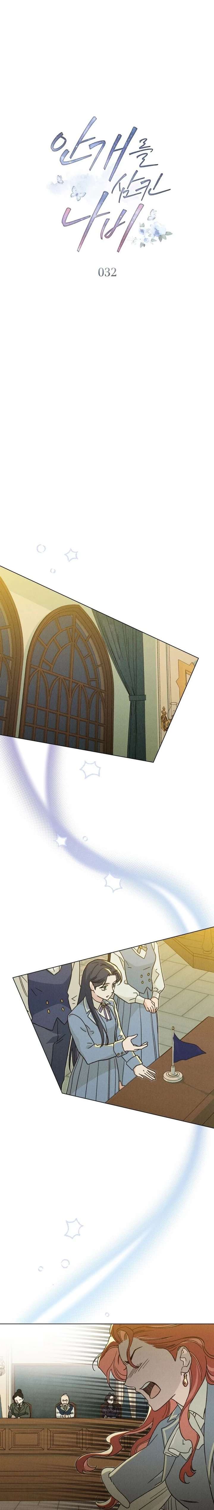 The Butterfly That Swallowed the Mist Chapter 32 - Page 9