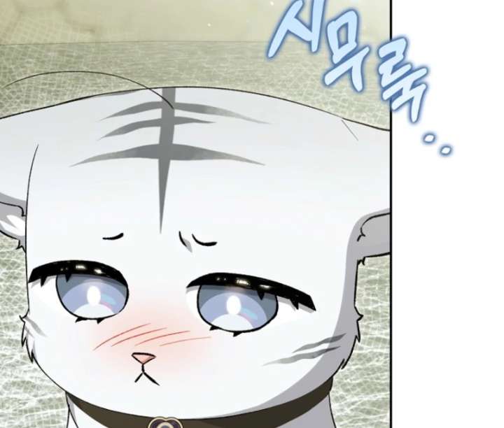 The White Tiger Princess is Not in Danger Chapter 20 - Page 9