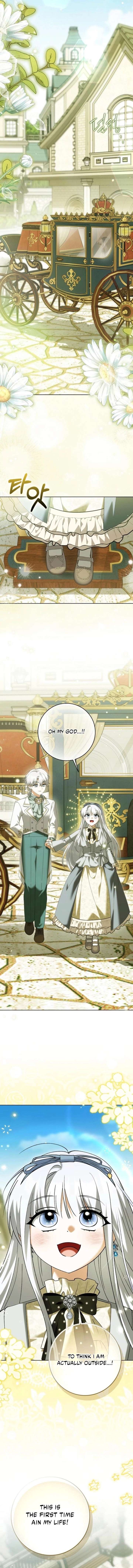 The White Tiger Princess is Not in Danger Chapter 27 - Page 11