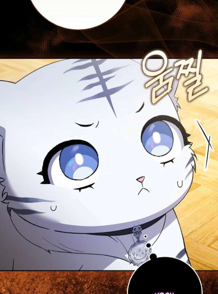 The White Tiger Princess is Not in Danger Chapter 3 - Page 67