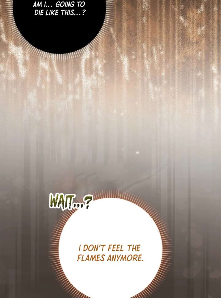 The White Tiger Princess is Not in Danger Chapter 3 - Page 88