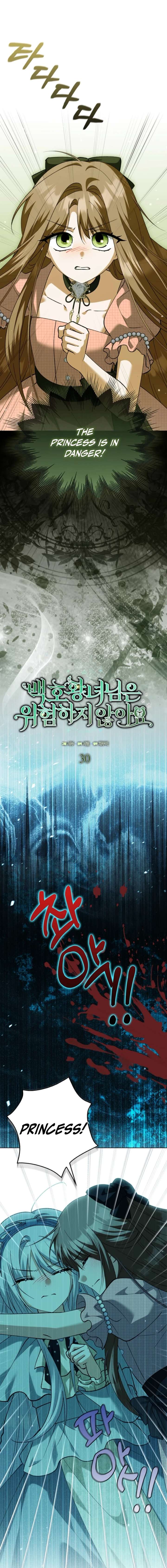 The White Tiger Princess is Not in Danger Chapter 30 - Page 7