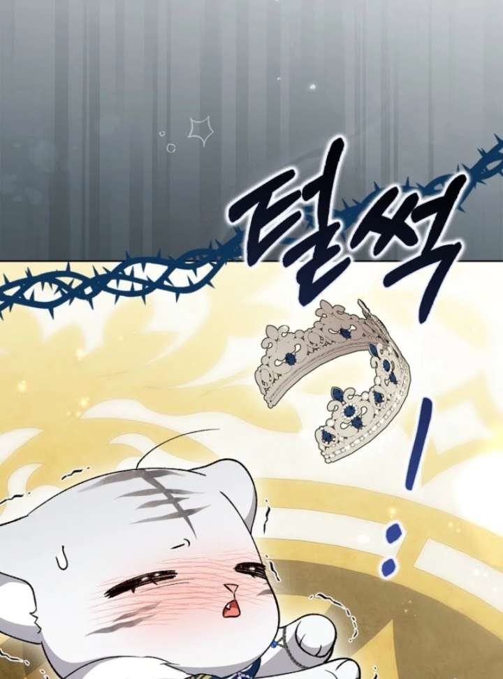 The White Tiger Princess is Not in Danger Chapter 8 - Page 146